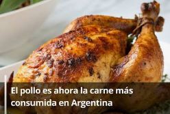 Pollo rotizado